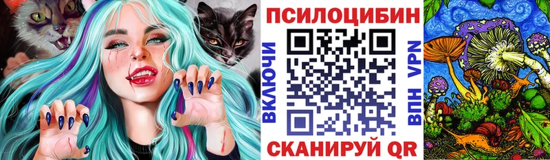 Галлюциногенные грибы мицелий  Купить закладки  Власиха 